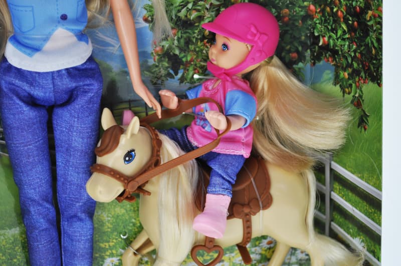Набір ляльок YG TOYS WG291 з коником, фото 3