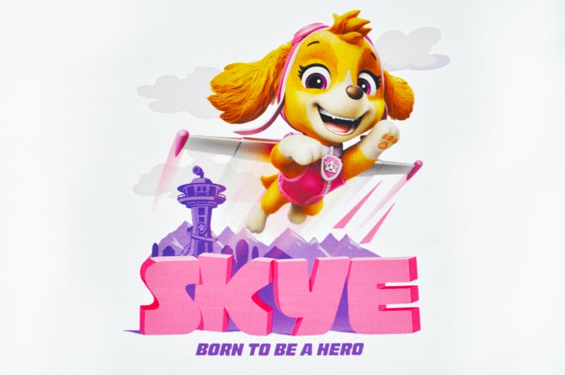Футболка бавовняна QB-PP-001-11-98-104 PawPatrol Kids 98-104 qbee, фото 4