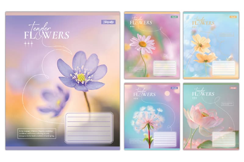 Зошит 60 Лінія 768083 "Tender Flowers" 1Вересня