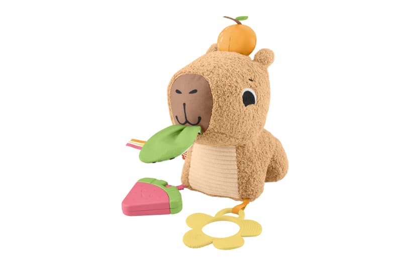Розвиваюча м'яка іграшка "Капібара" Fisher-Price, фото 2