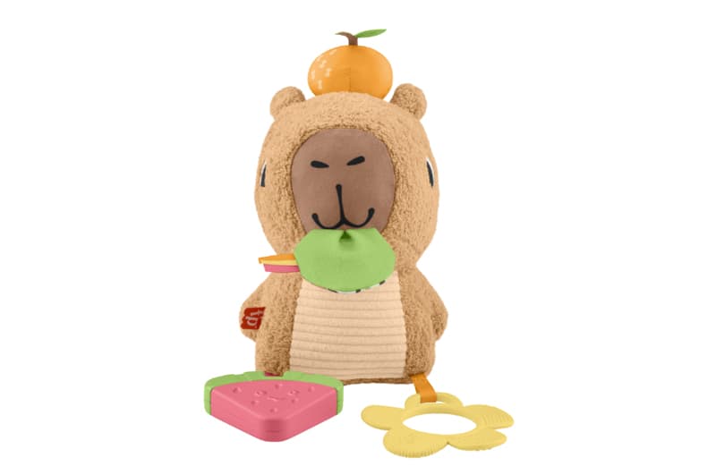 Розвиваюча м'яка іграшка "Капібара" Fisher-Price, фото 4