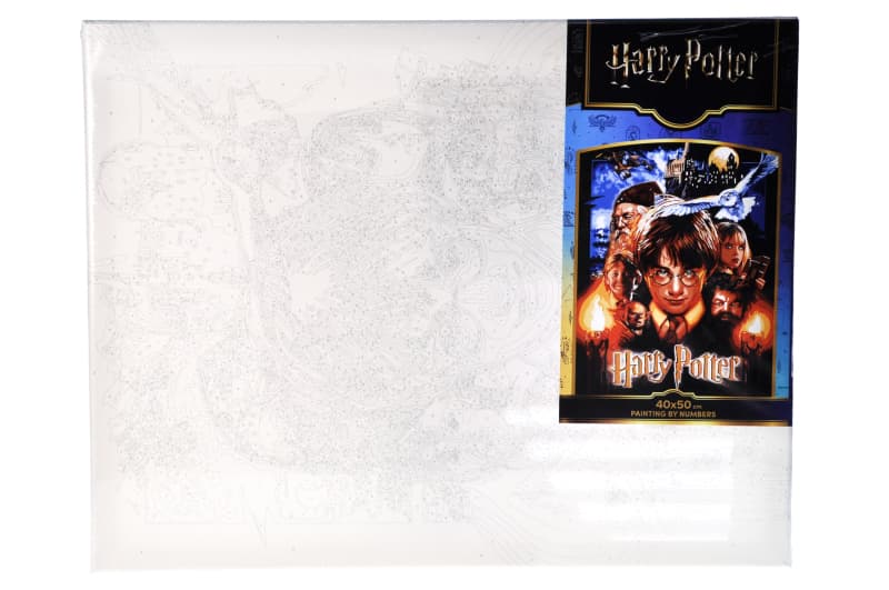Набір для розпису по номерах 40x50 см KHO8716 "Harry Potter: Постер" з фарбами металік Ideyka, фото 2