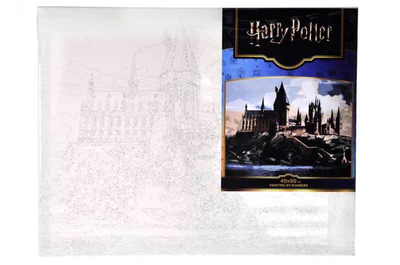 Набір для розпису по номерах 40x50 см KHO6432 "Harry Potter: Гоґвортс вдень" Ideyka, фото 2