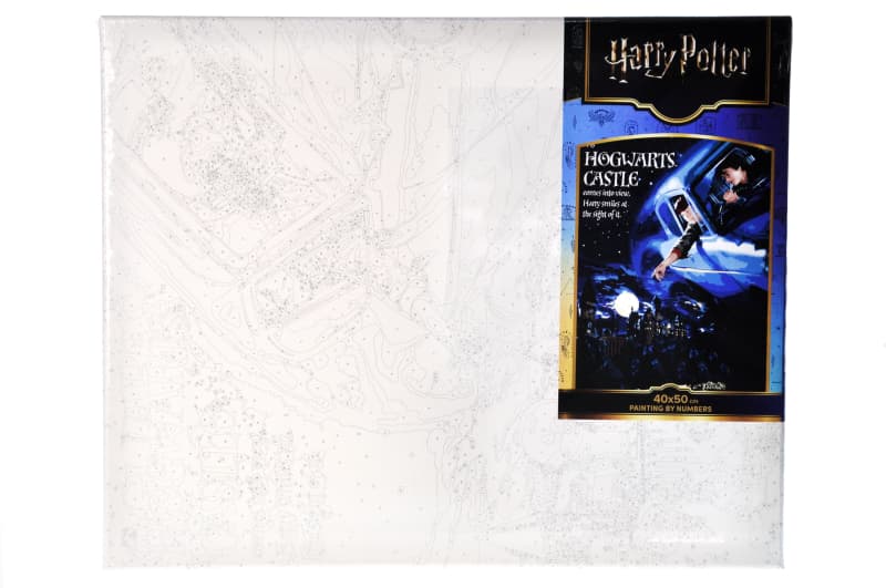 Набір для розпису по номерах 40x50 см KHO8719 "Harry Potter: Політ на авто" з фарбами металік Ideyka