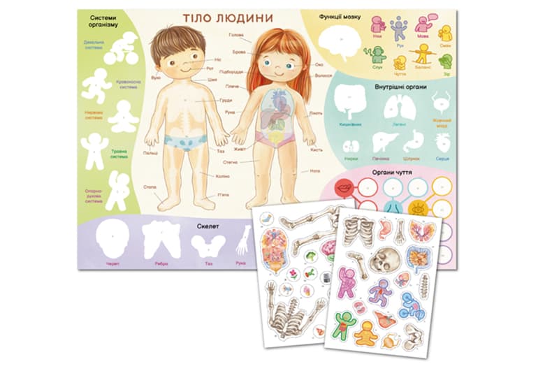 Навчальний постер з наклейками 300901 «Тіло людини» XL DoDo, фото 3