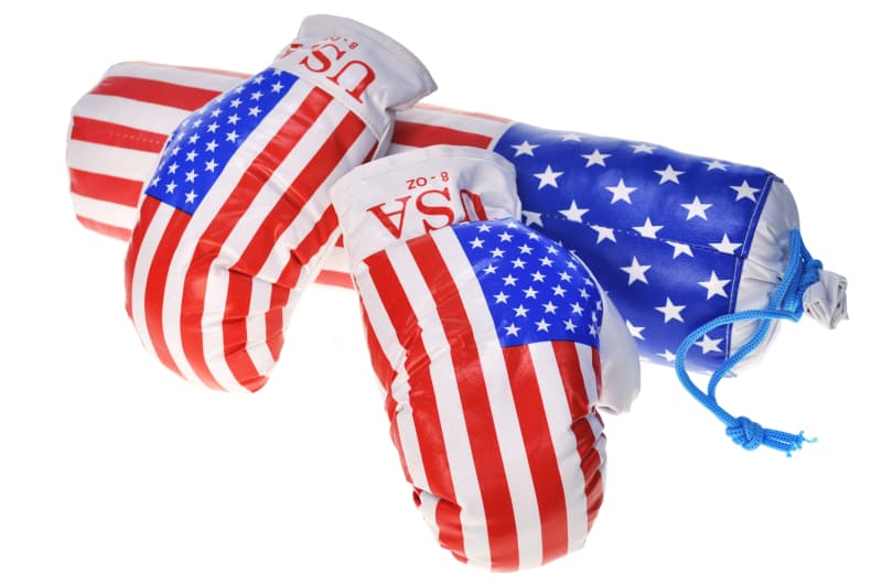 Боксерський набір M-USA "Америка" середній DANKO